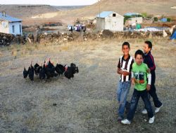 Köy çocuklarından Hindi şovu